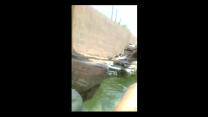 CenSired: Stream
