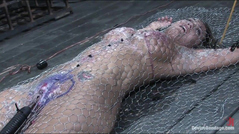 Device Bondage by Kink: Penned in