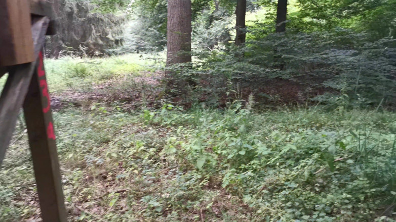 Bouncy Tits Action: Tit slapping in blue blouse outdoor
