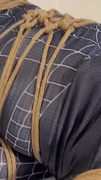 Spider-man is gevangen