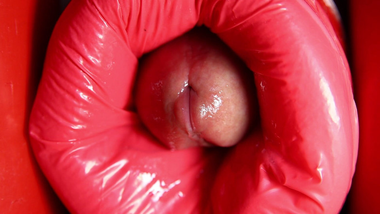 SEXY_GUYBEST: Dinosaurie anal