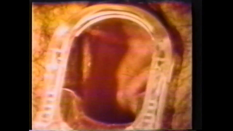 Vintage Usa: Chlup z kundičky na svém místě