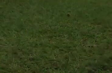 Granny X: Мега-гэнгбэнг с бабушкой в Бразилии...