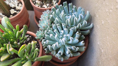 LunaBigBooty: Sfw Day, Ziua distracției, îți voi arăta cum este o zi...