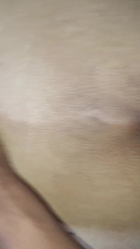 India en perrito casero