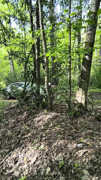 She's Caught Pussy Rubbing in the Woods Squirting on Her Car Hood
