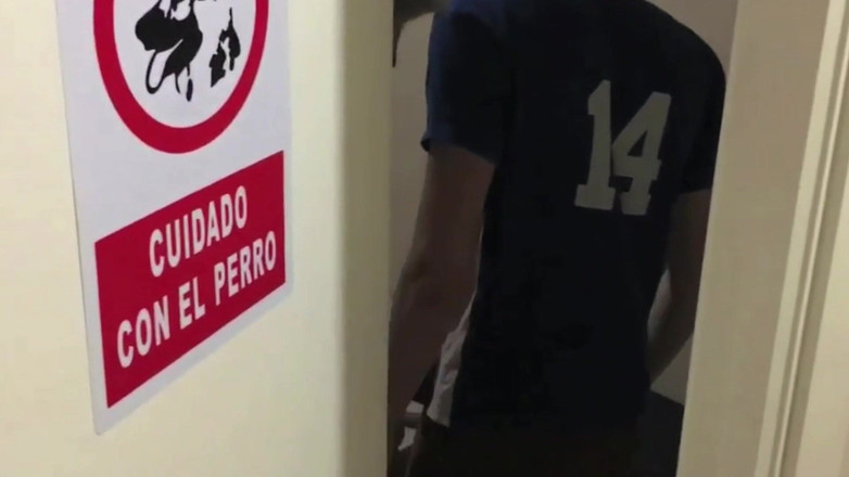 Amadeus studio: 대학에서 돌아오면