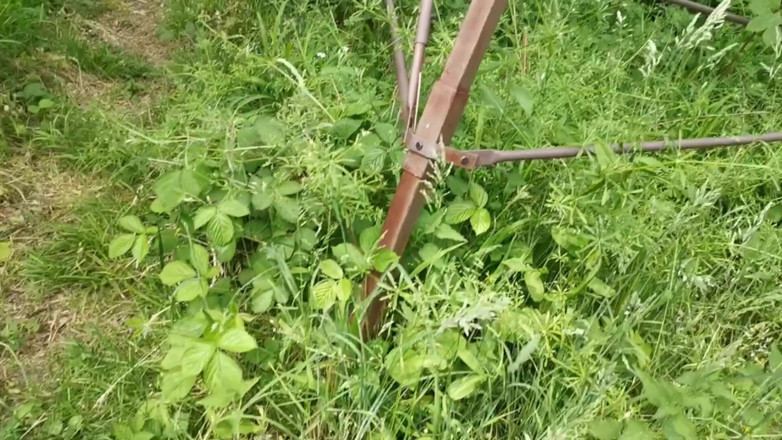 Bouncy Tits Action: Belle tette appena schiaffeggiate