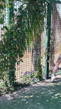 Swingers Maduros En La Cancha De Tenis Al Aire Libre, Gangbang Inverso