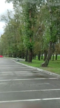 I'm a Russian Slut, Giving a Topless Blowjob in a Car at a Public Parking Lot!