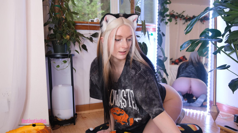 Destination Kat: Rozptýlení vyřezávání dýně