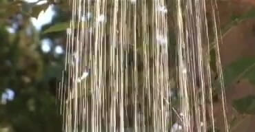 Lesbian Illusion: Sexy blonde lesbian playing in the garden