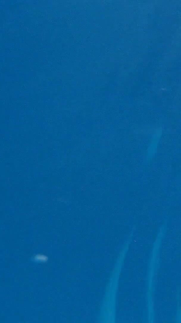 Unique Underwater Shots of Two Black Lesbians (BAGZKIZZ)