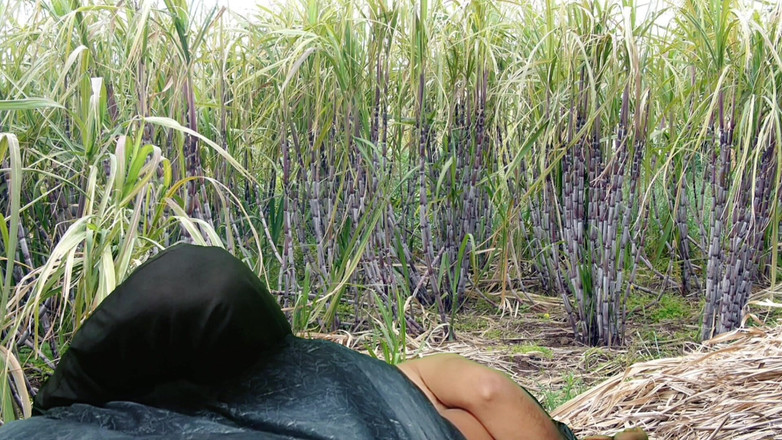 Rakul008: Neuken in het suikerrietveld