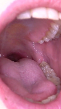 Mouth fetish clip with Angel Wicky fullhd - Inside my mouth