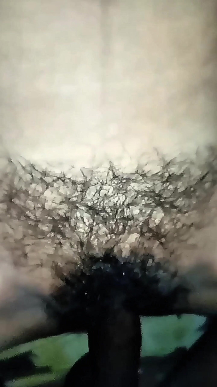 Jhon Hamster: Gozada perfeita