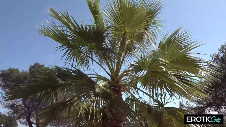 MILFFreaksX: Liebe Auf Den Ersten Fick