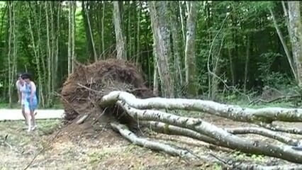 Hard Lesbians: Two matures in the wild join their new friend for...