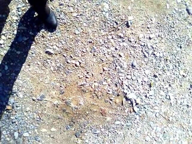 RavenBigAss: Pisse dans les bois, jupe pas de culotte