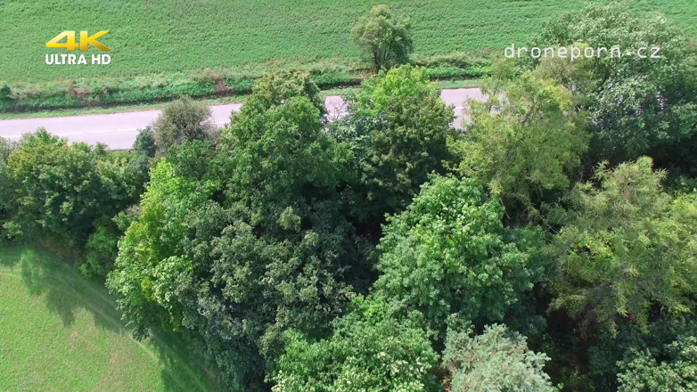 Peaches and Bananas: Nudistická dívka masturbuje. Záběr dronem