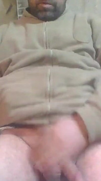 Papai urso turco está em transmissão ao vivo