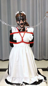 The Maid's Various Restraints