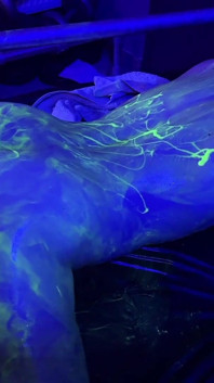 Uv Fisting Orgy Gangbang Group - Part 2