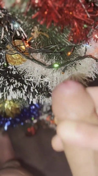 Frohe Weihnachten von Martybrady
