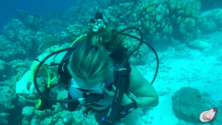 Mistress Pink Pearl: Bersendirian Time di Bonaire