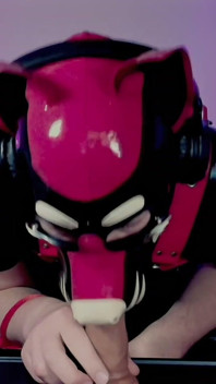 Goodboy Teases Playful Pup