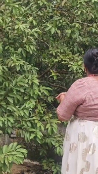 Người khỏa thân hư hỏng từ Ấn Độ khỏa thân thư giãn ngoài trời, ăn trái cây tươi và thưởng thức nó