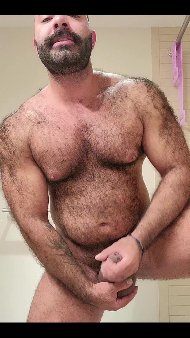 Towel Tuesday (Lobo)