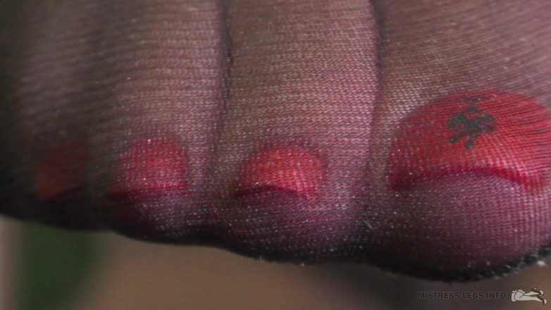Mistress Legs: Just nylon toes and soles closeups