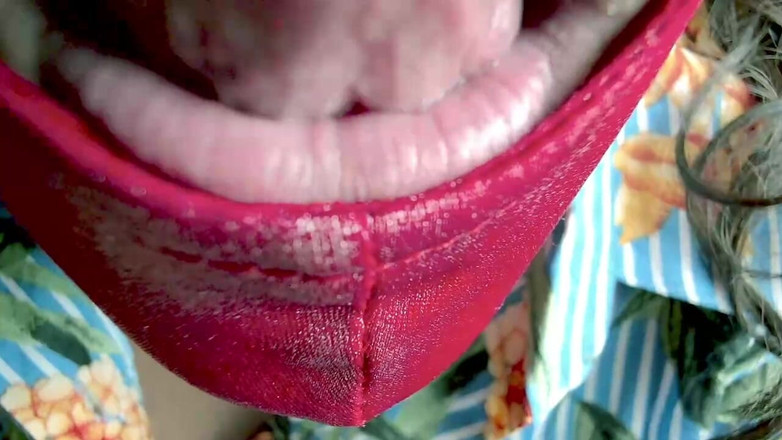 Minhaesposaparaoutro: I Show Everything to Other Men Sucking My Cuckold's Cock