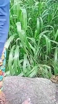jab main lakri kaatne ke lie jangal men gaya, to ganv ke ek larke ne mujhe choda.