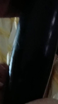 Xxxl Pumpdildo Von Hinten