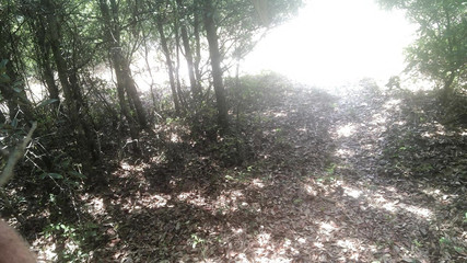 Justin Birmingham: Gay Beach Bwc Nadržený Honění