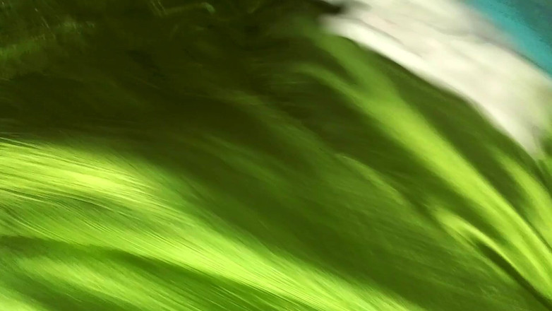 Myhotwife369: Awek dara dara mumbai memancut cepat ke atas zakar besar...