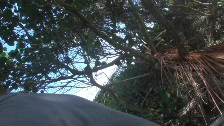 Blondehexe: समुद्र तट पर चुदाई