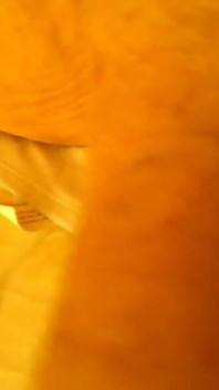 Big Toy Anal Play First Attempt