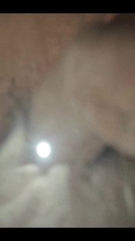 749771317682647040.mp4