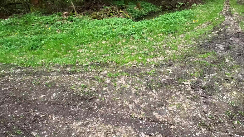 Bouncy Tits Action: 500 Titslaps