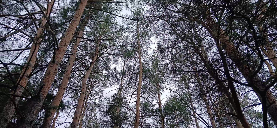 Lesbian-illusion: Naše třetí přítelkyně sleduje v parku, takže nás nikdo nechytí...