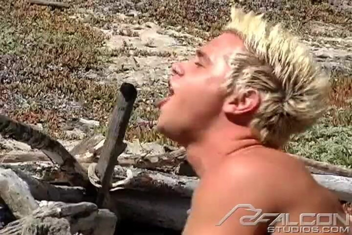 Falcon Studios: Road Trip, Vol. 2: Santa Cruz