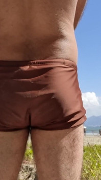 Furry Enjoying the Beach