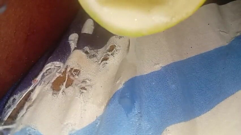 Badman4606: Batang hitam besar