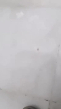 Blowjob