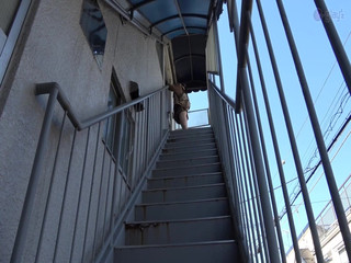 Raptor Inc: Rakaman lucah Adik-beradik (4 Jam)