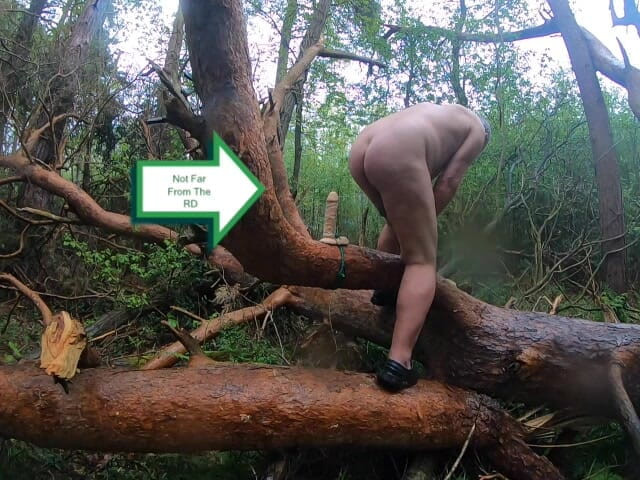 Andy: Ce que vous trouvez dans les bois