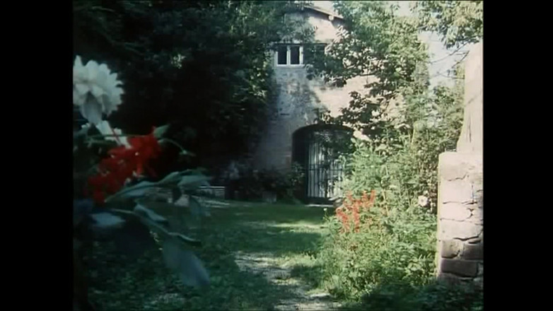 Rocco Siffredi and Friends: Real Cock Masters